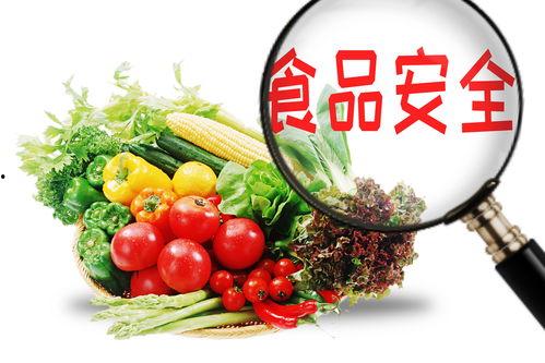 食物热点爆料怎么做视频,如何制作爆款视频攻略