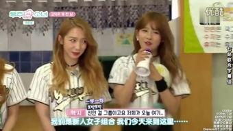 少女派别全集在线观看,青春校园的激情与成长