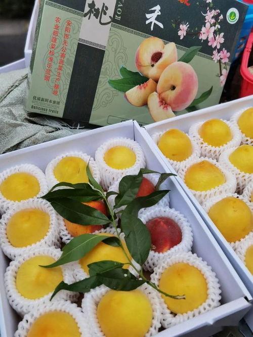 娱乐吃瓜封面怎么做,如何捕捉热点瞬间，引爆网络热议